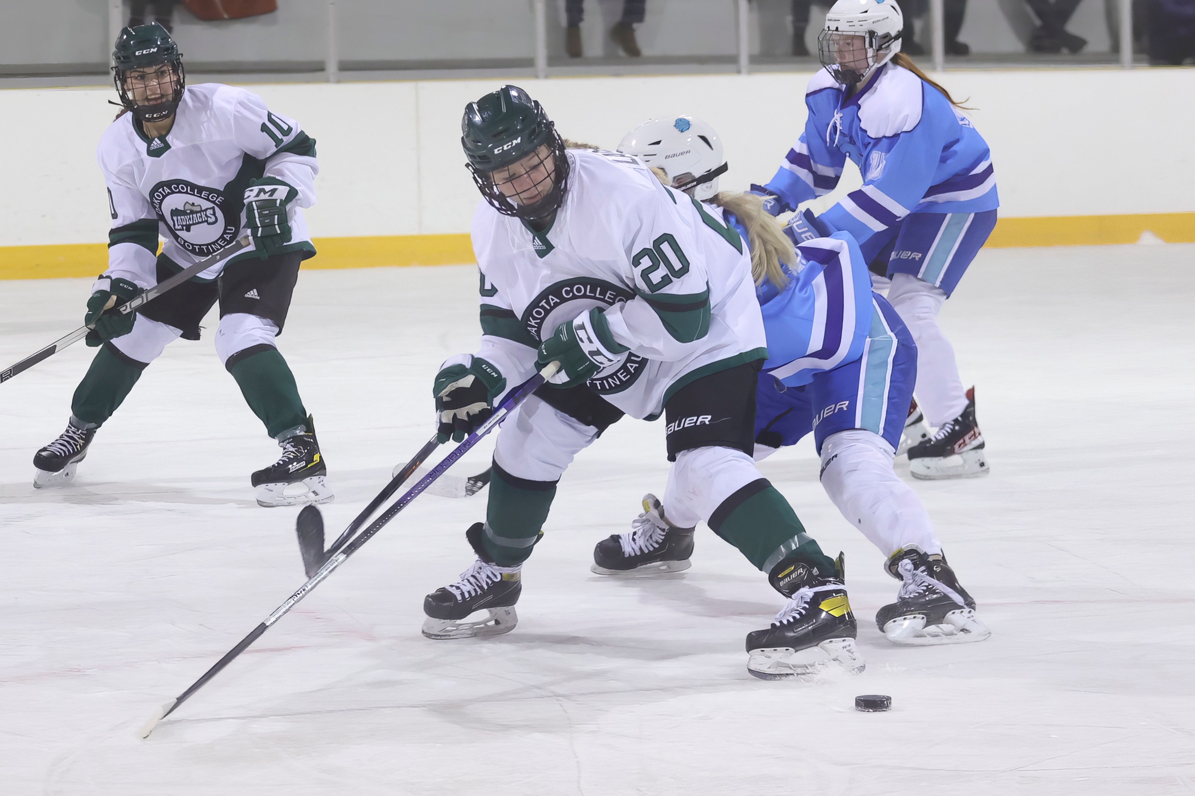 Lumberjacks Roll Past Bison