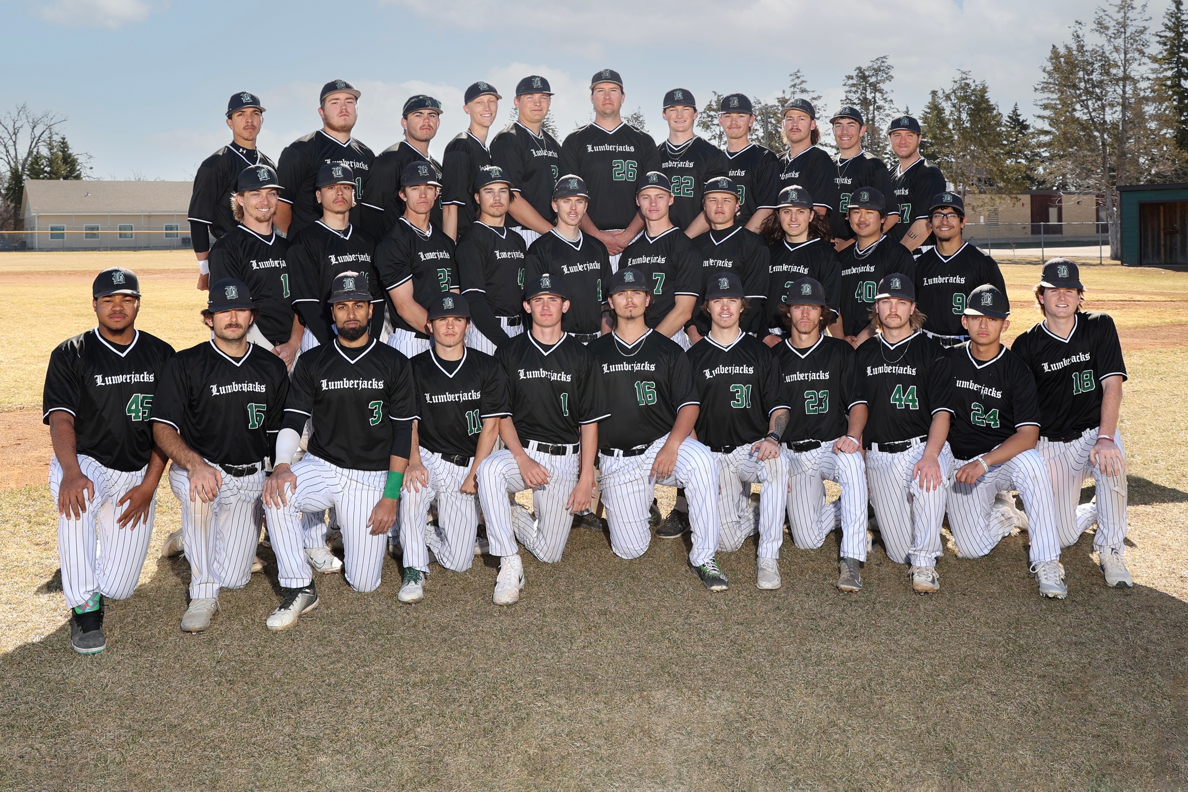 Baseball Season Review