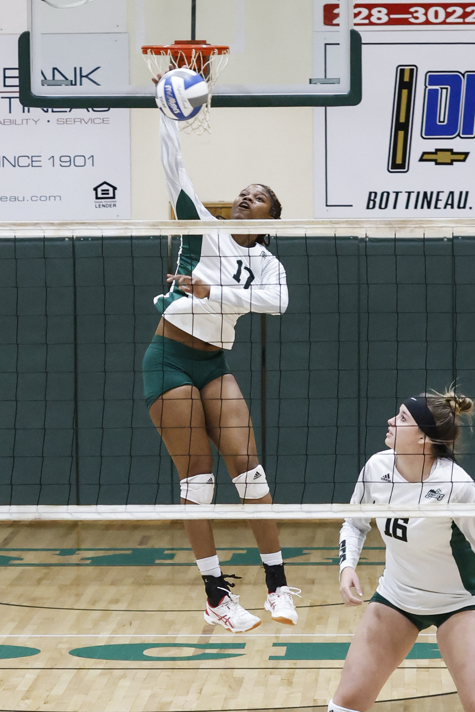Ladyjacks Split with Blue Hawks and Mystics